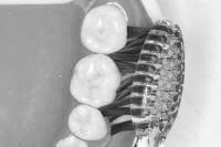 Bass Technik_1